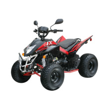 Min-Auftrag 149ccm EEC ATV (FXATV-005)